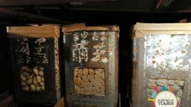 Cueva del viento de Fugaku Monte Fuji Japón