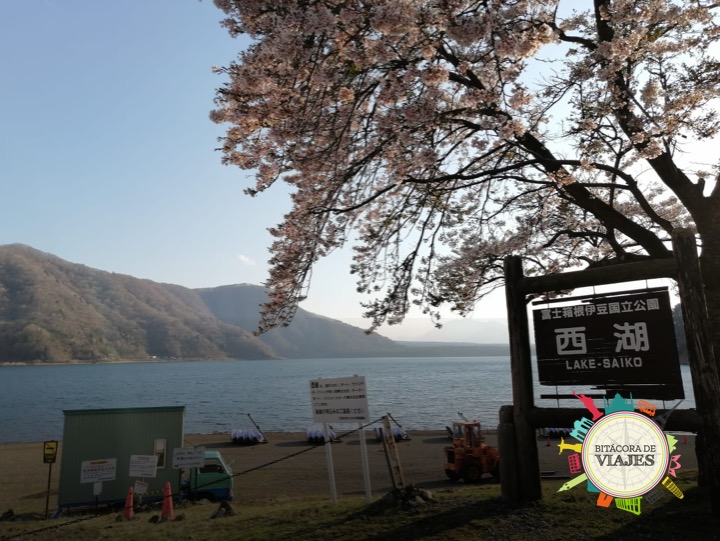 Lago Saiko Monte Fuji Japón 