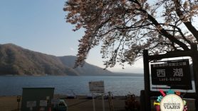 Lago Saiko Monte Fuji Japón