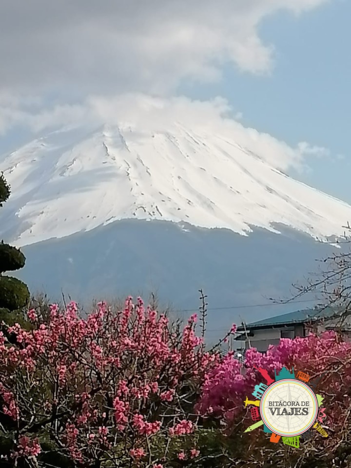Monte Fuji Japón