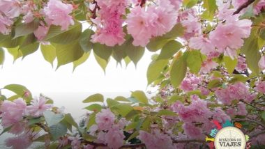 Parque Tsurami Nagoya Japón