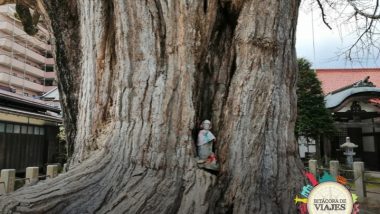 Templo Kokubunji Takayama Japón
