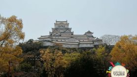 Castillo Himeji Japón