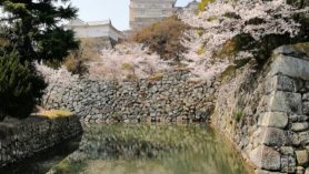 Castillo Himeji Japón