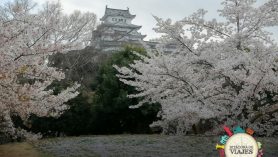 Castillo Himeji Japón