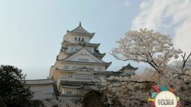 Castillo Himeji Japón