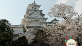 Castillo Himeji Japón