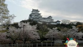 Castillo Himeji Japón