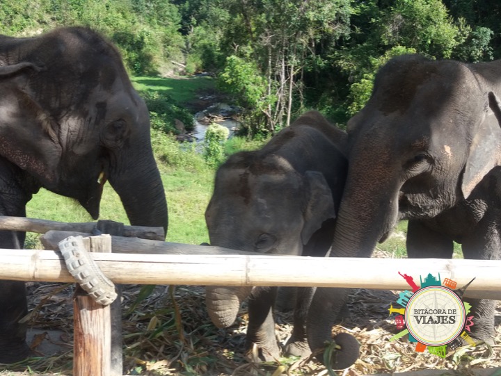 Chiang Mai Tailandia- Bitácora de Viajes