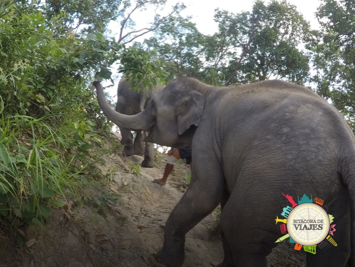 Chiang Mai Tailandia- Bitácora de Viajes