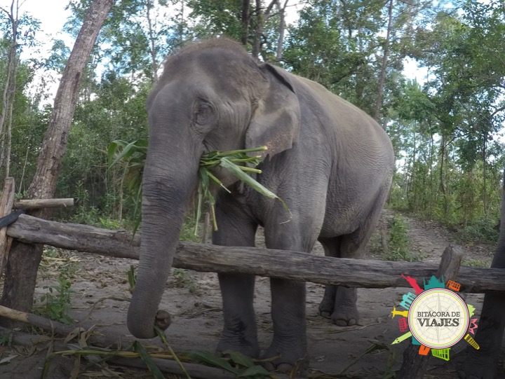 Chiang Mai Tailandia- Bitácora de Viajes