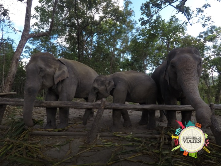 Chiang Mai Tailandia- Bitácora de Viajes