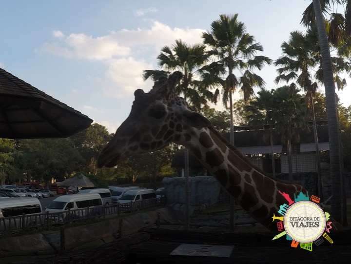 Chiang Mai Tailandia- Bitácora de Viajes