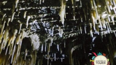 Cuevas de Waitomo - Nueva Zelanda