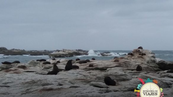 Kaikoura - Nueva Zelanda