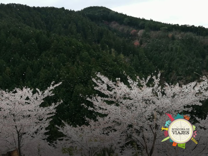 Monte Yoshino Nara Bitácora de Viajes