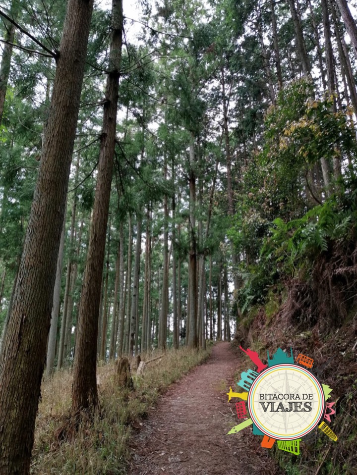 Monte Yoshino Nara Bitácora de viajes