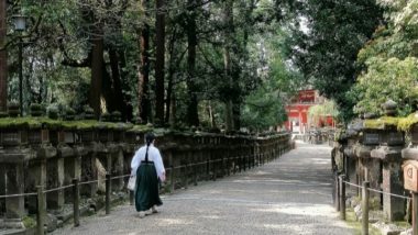 Nara Bitácora de viajes