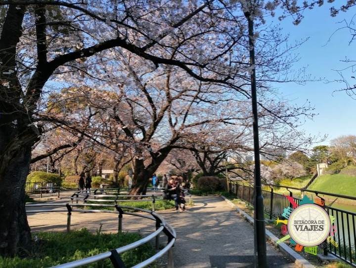 Parque Chigoridafuchi Tokio Bitácora de Viajes
