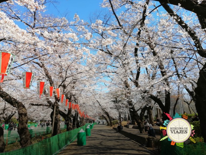 Parque Ueno Tokio Bitácora de Viajes
