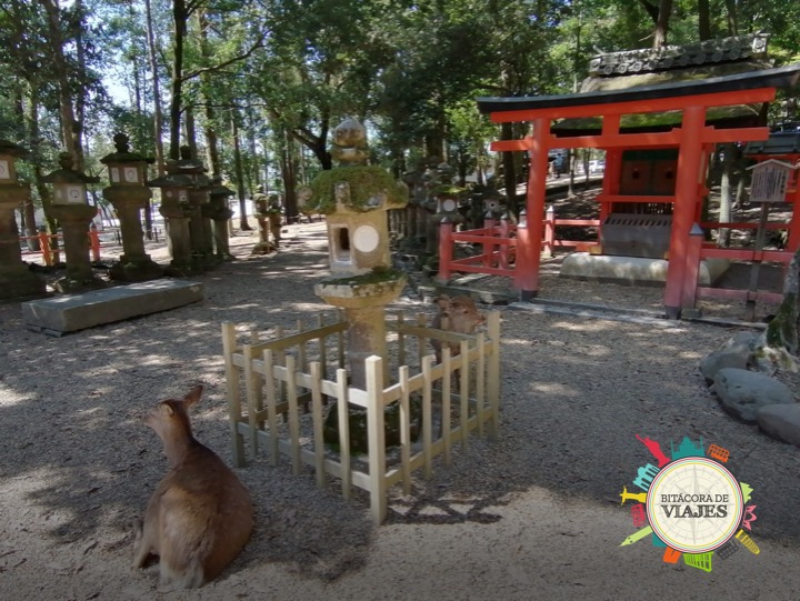 Templo Kasugataisha Nara Bitácora de viajes