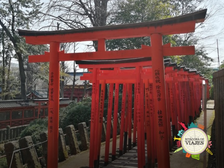Templo Nezu 2 Tokio Bitácora de Viajes