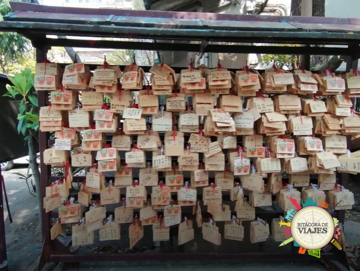 Emas  - Bitácora de viajes