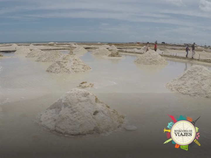 ¿Qué ver en la Guajira Colombia?Salinas de Manaure