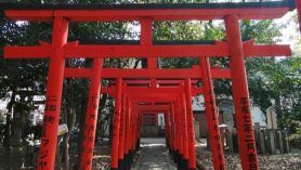 Templo Itate Hyouzu Jinga Himeji Japón