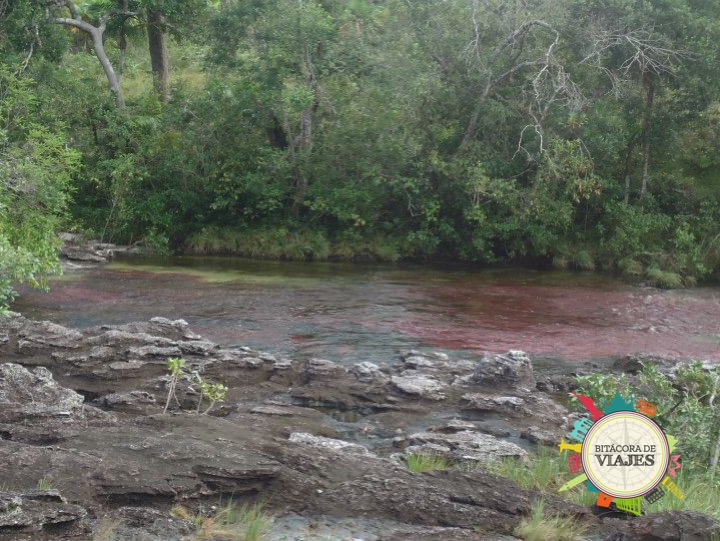 ¿Qué ver en Caño Cristales Colombia?