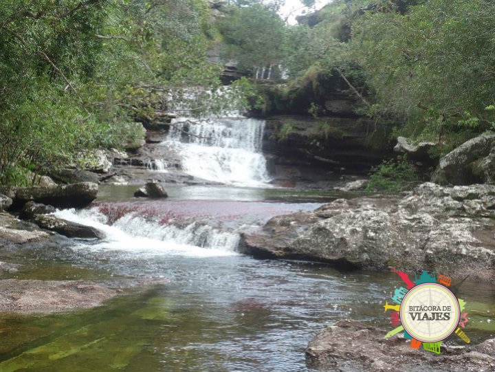 ¿Qué ver en Caño Cristales Colombia?