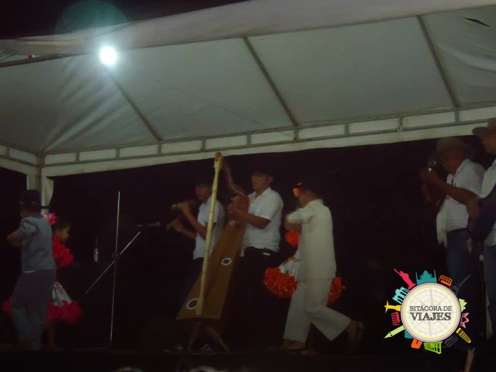 ¿Qué ver en Caño Cristales Colombia?