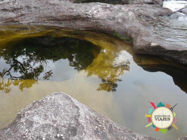 ¿Qué ver en Caño Cristales Colombia?