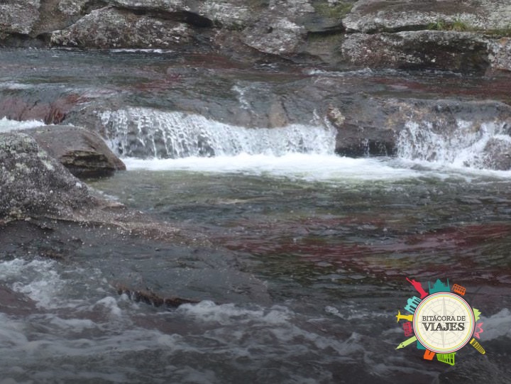 ¿Qué ver en Caño Cristales Colombia?