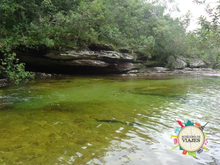 ¿Qué ver en Caño Cristales Colombia?