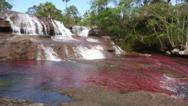 ¿Qué ver en Caño Cristales?