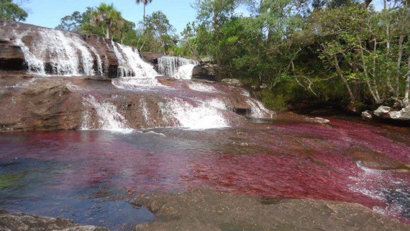 ¿Qué ver en Caño Cristales?