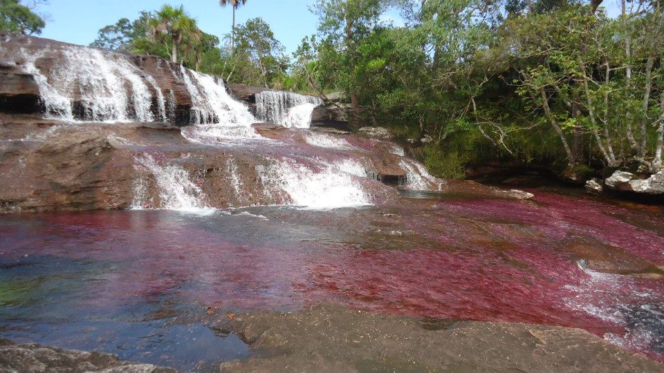 ¿Qué ver en Caño Cristales?