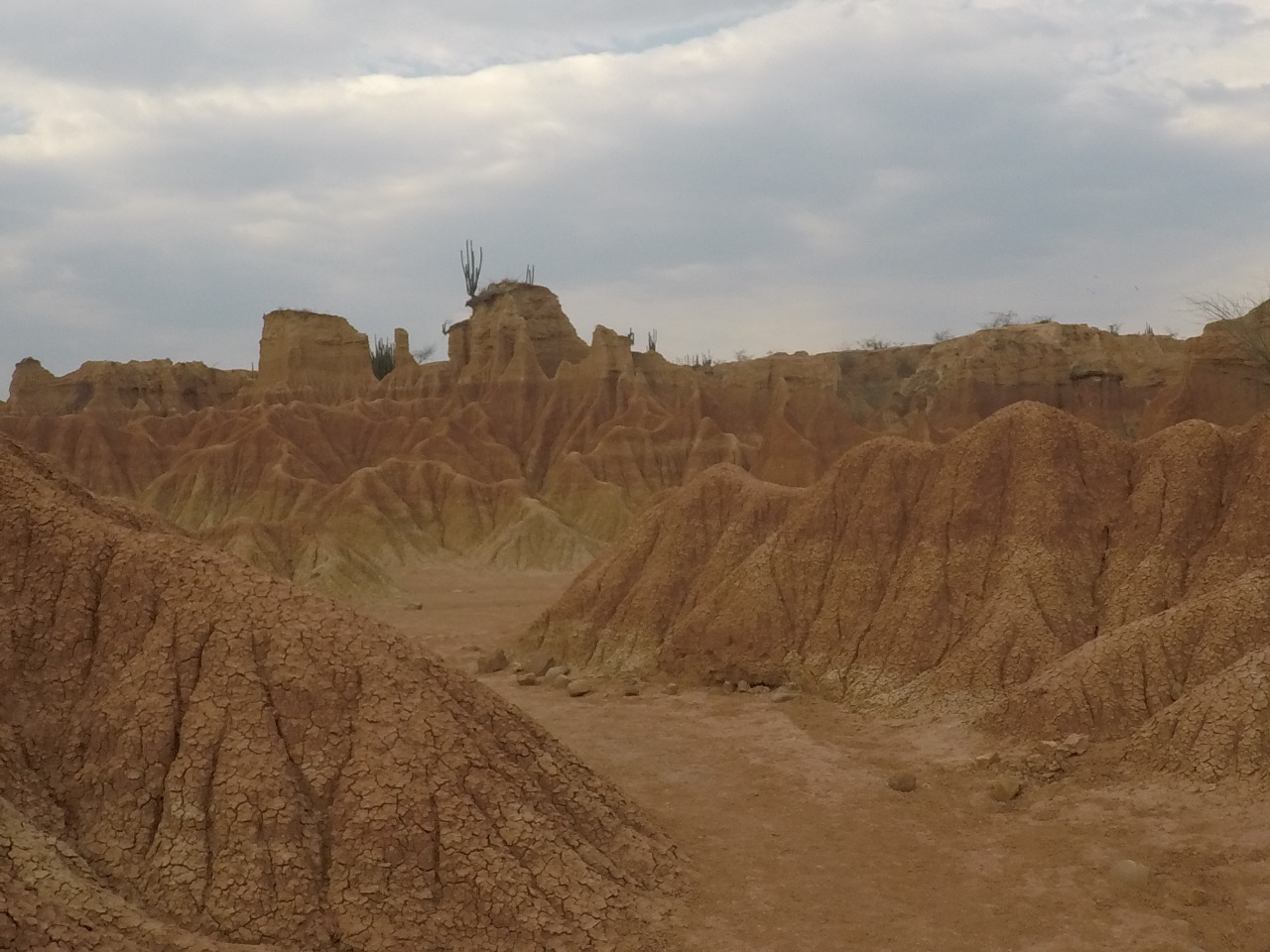 que ver en el Desierto de la Tatacoa