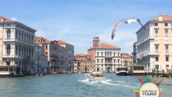 ¿Que ver en Venecia? El Gran Canal