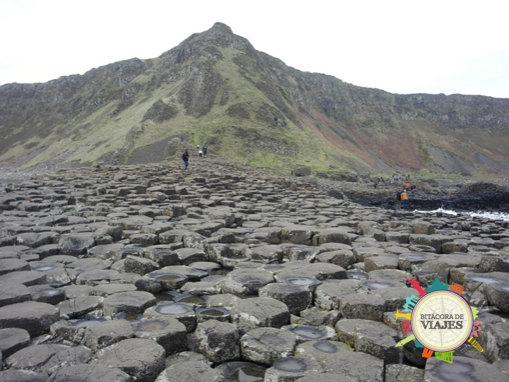 ¿Qué ver en Belfast? Calzada del Gigante