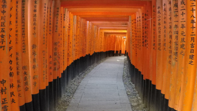 que ver en el templo Fushimi Inari Taisha