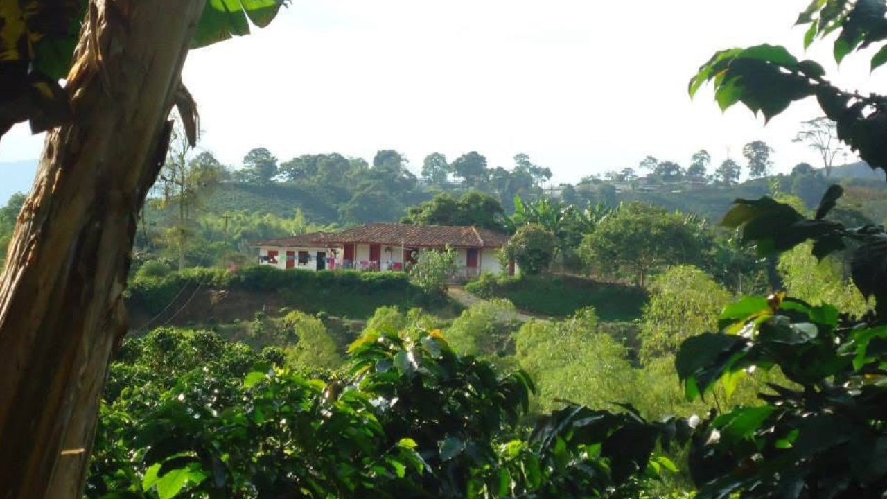 Eje Cafetero en Colombia