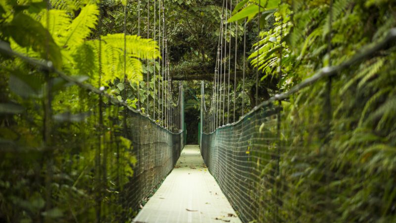 Puentes Colgantes Costa Rica